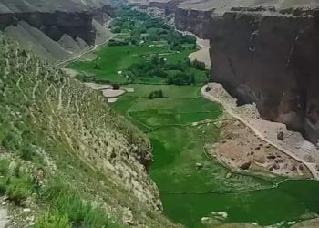 دو عضو گروه طالبان در درگیری میان‌خودی در سرپل کشته شدند