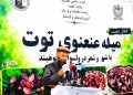 جشن توت در شهرستان کوه‌بند استان کاپیسا برگزار شد