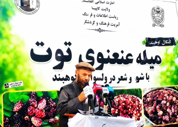 جشن توت در شهرستان کوه‌بند استان کاپیسا برگزار شد