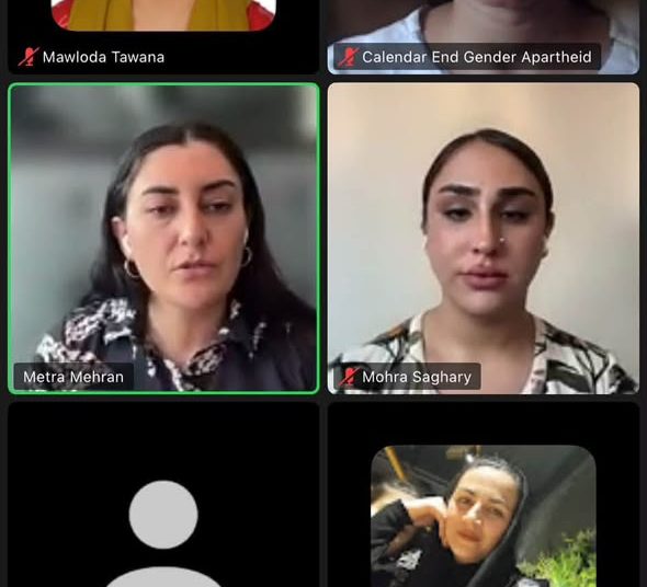 نشست آنلاین با حضور زنان و مدافعان از کشور‌های مختلف برگزار شد