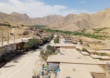یک مرد در دایکندی زن سابق خود را به کشت