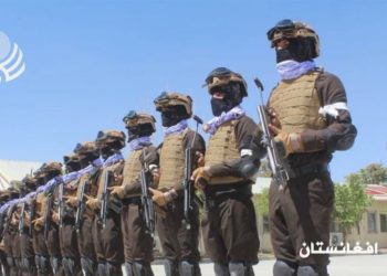 گروه ط-البان، از فراغت بیش از ۴۰۰ نیروی این گروه در جنوب شرق کشور خبر داد