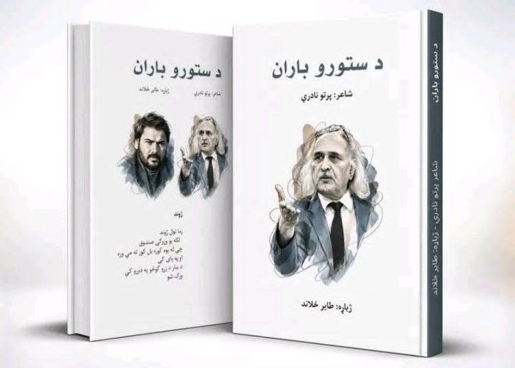اشعار پرتو نادری با برگردان پشتو در آلمان منتشر شد
